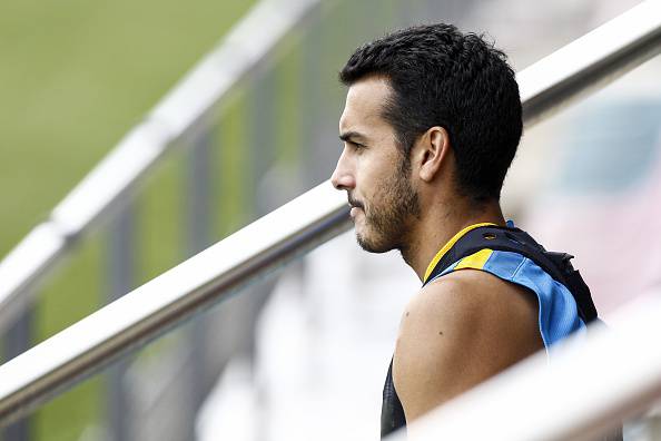 Pedro (getty images)