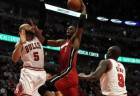 bulls-heat
