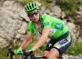 CAVENDISH Mark 130140