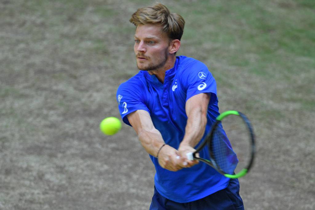 goffin-atp-tennis