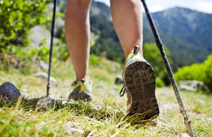 nordic walking