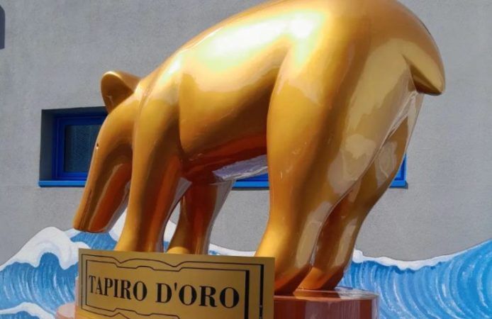 Tapiro d'Oro Ilary Blasi (Screenshot Instagram) - sportnews.eu