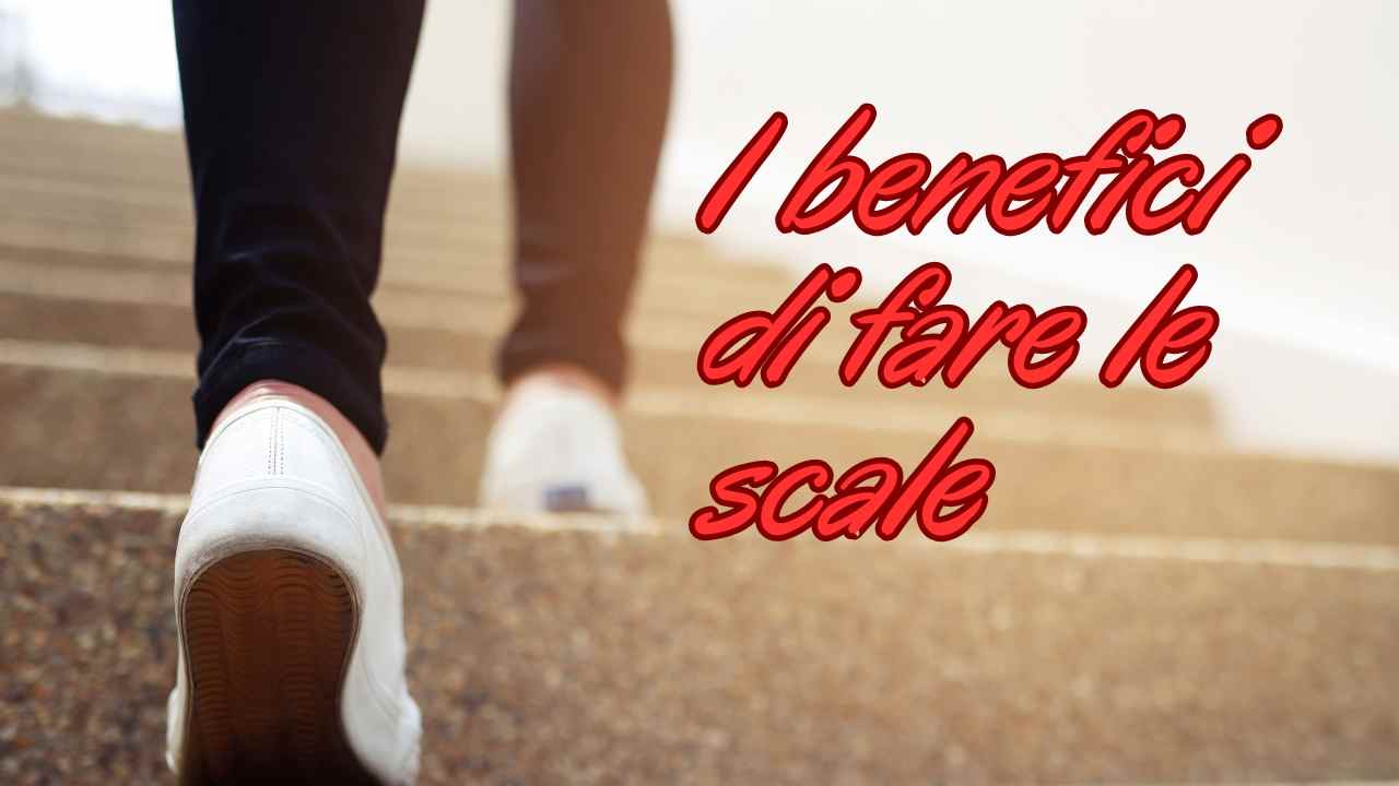 Fare scale ogni giorno salute forma fisica