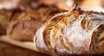 Quanto pane mangiare al giorno: la risposta definitiva