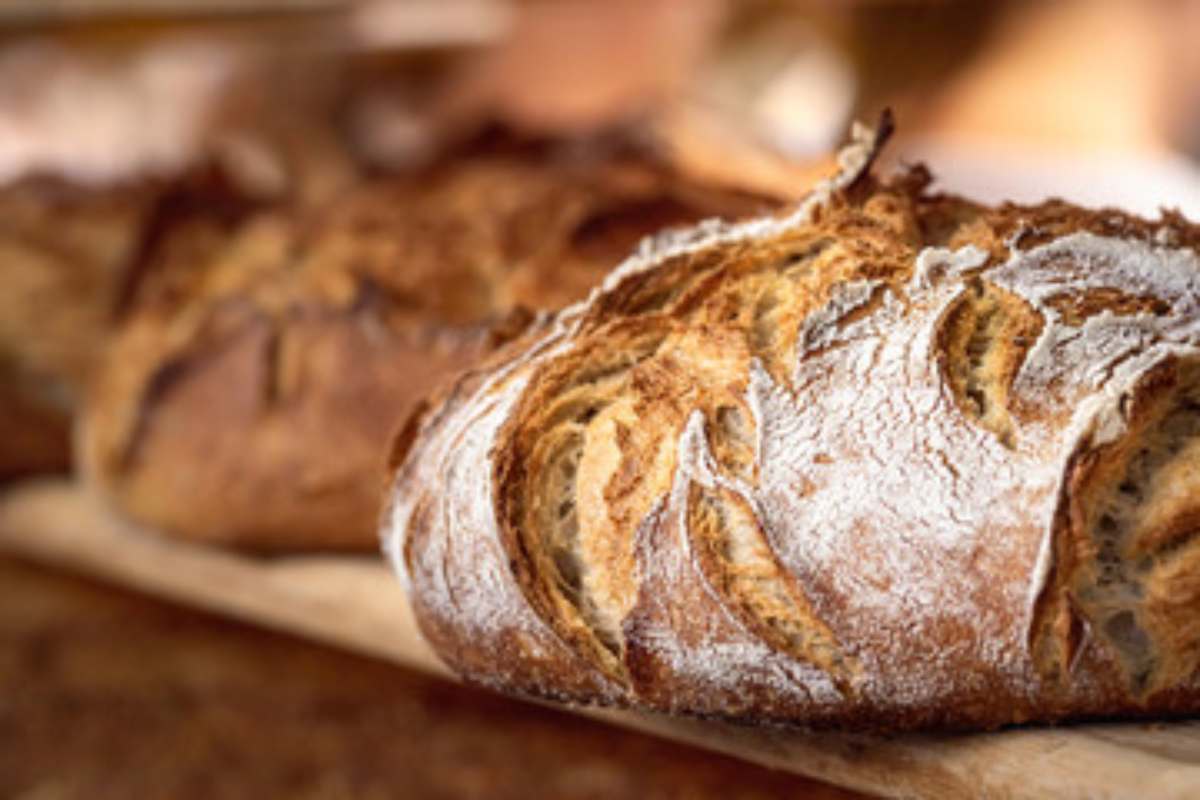 Pane calorie quantità dieta