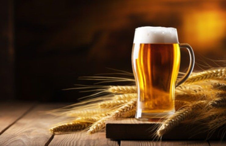 Birra fegato patologie bere