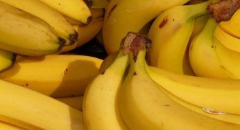 Cosa succede al tuo corpo se mangi una banana al giorno: devi subito saperlo