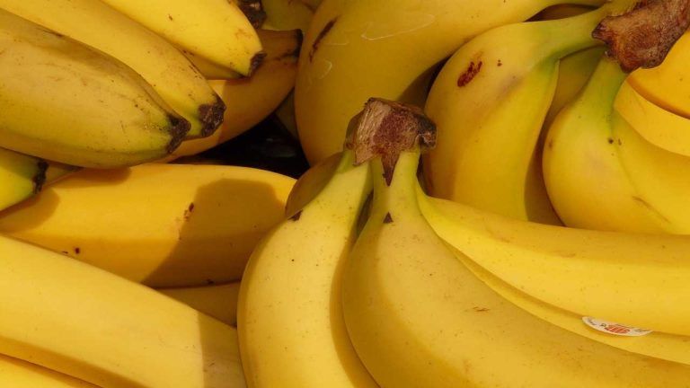 Cosa succede al tuo corpo se mangi una banana al giorno: devi subito saperlo Cosa succede al tuo corpo se mangi una banana al giorno: devi subito saperlo