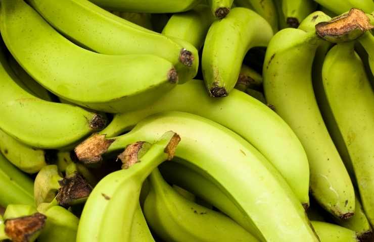 banane verdi