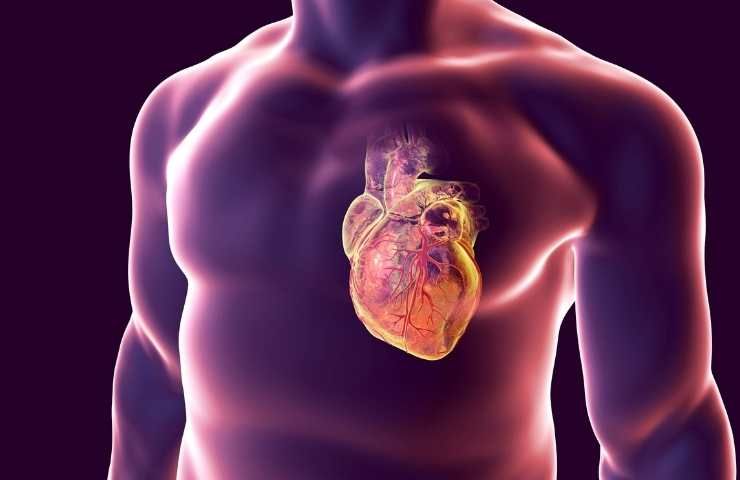 illustrazione digitale del cuore