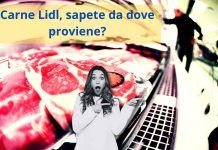 Alimentazione e sport dove proviene carne Lidl