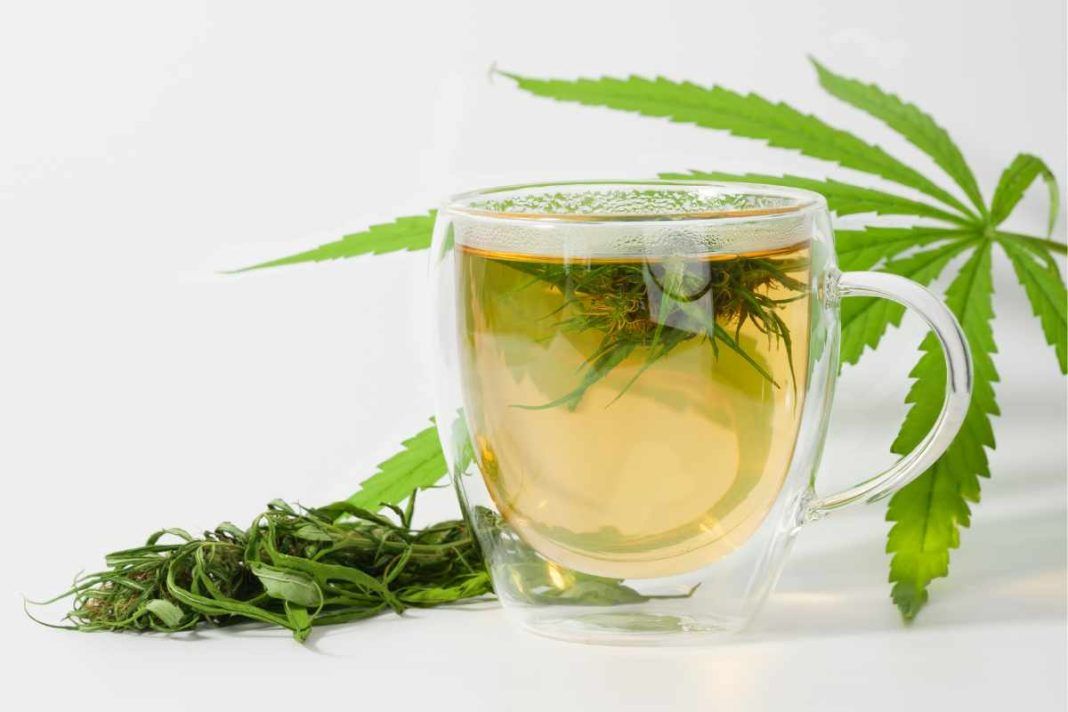 Tisana Per Abbassare Il Colesterolo Questa tisana abbassa il colesterolo: come prepararla senza difficoltà