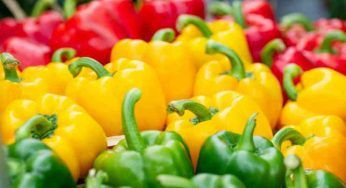 Peperoni, gli abbinamenti da non fare mai in cucina: rischi l’indigestione