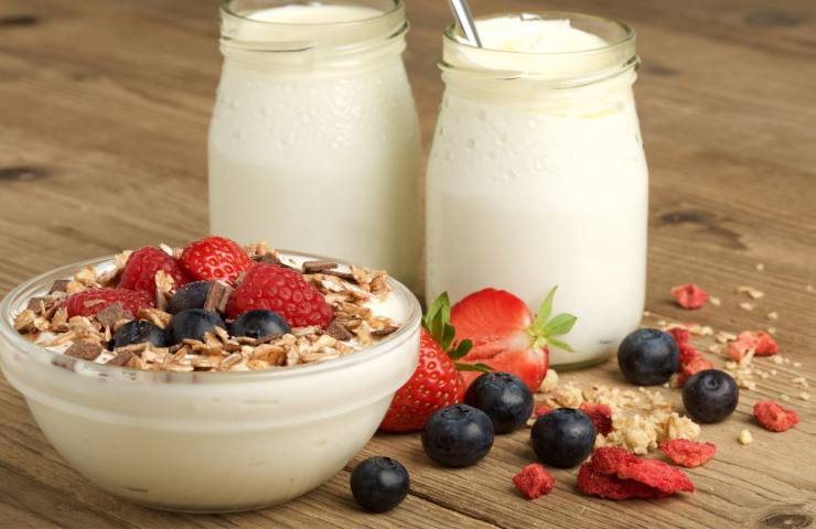Yogurt e kefir bianchi arricchiti con frutta e granaglie
