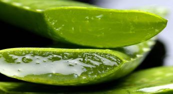 7 metodi per riuscire a rassodare la pelle flaccida dopo la dieta