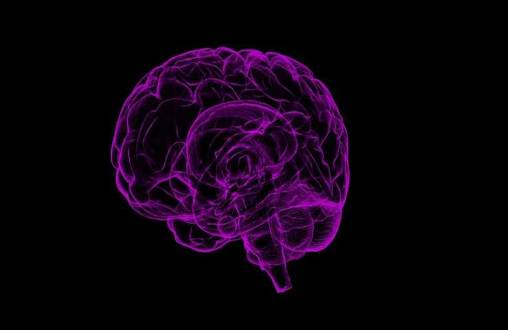 Alzheimer sonno