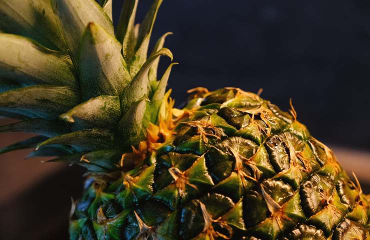 Ananas cetriolo equiseto