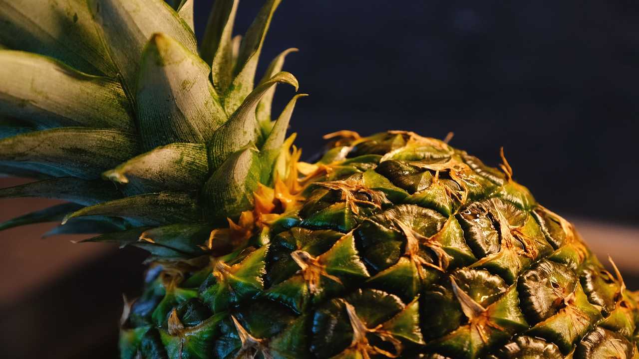 L’indigestione: alcuni rimedi per poter risolvere il problema L’indigestione: alcuni rimedi per poter risolvere il problema