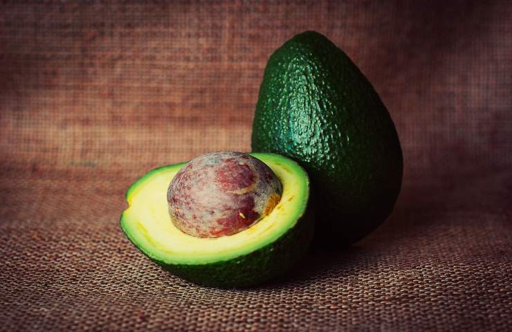 avocado caratteristiche