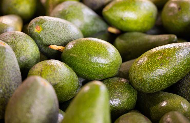 Avocado benefici