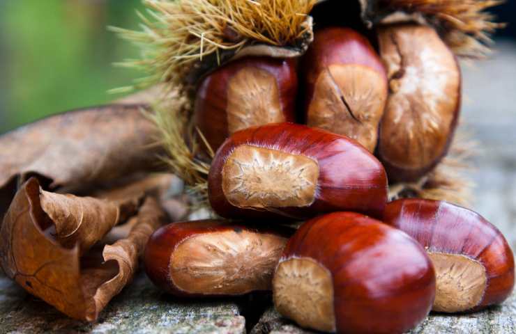 castagne benefici