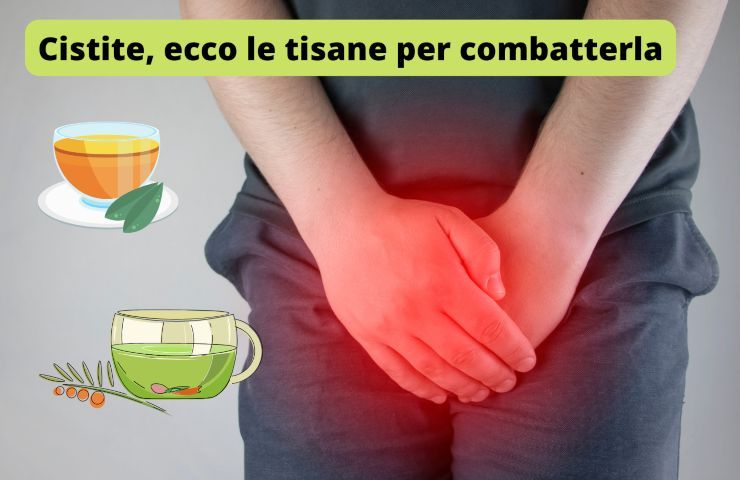 cistite tisane