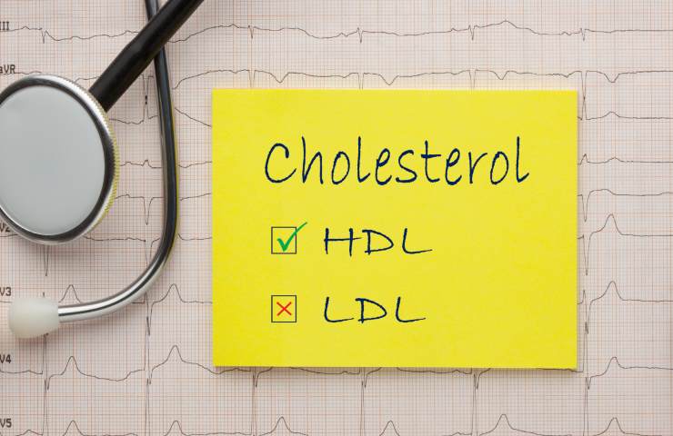 Colesterolo alto segnali corpo