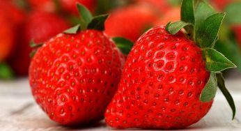 Fragole: quante se ne possono mangiare al giorno e i loro benefici