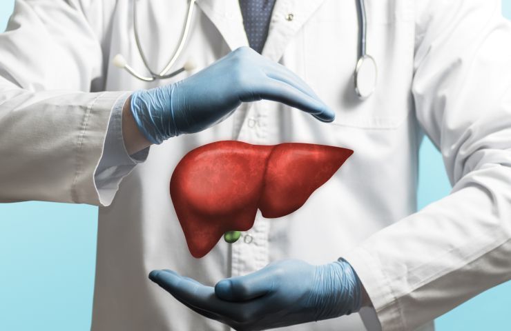 Leveraktivitetsrisker