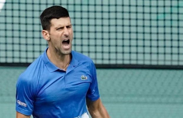 Novak Djokovic goat Ljubicic