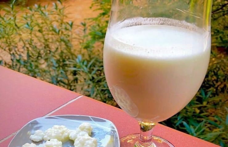 Kefir benefici