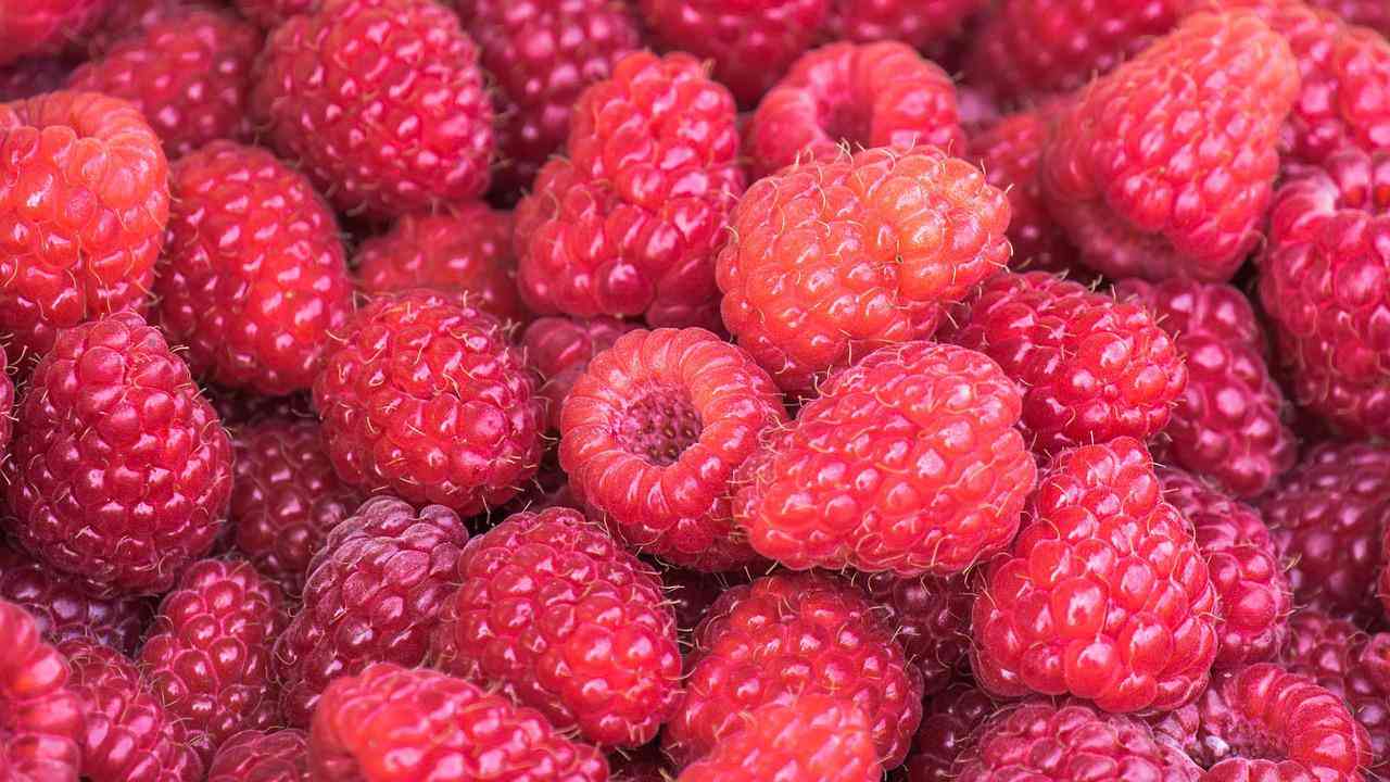 Artrosi alimenti