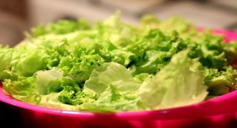 I carboidrati fibrosi: cosa sono e gli alimenti in cui trovarli