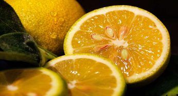 Conseguenze del mangiare il limone insieme al sale
