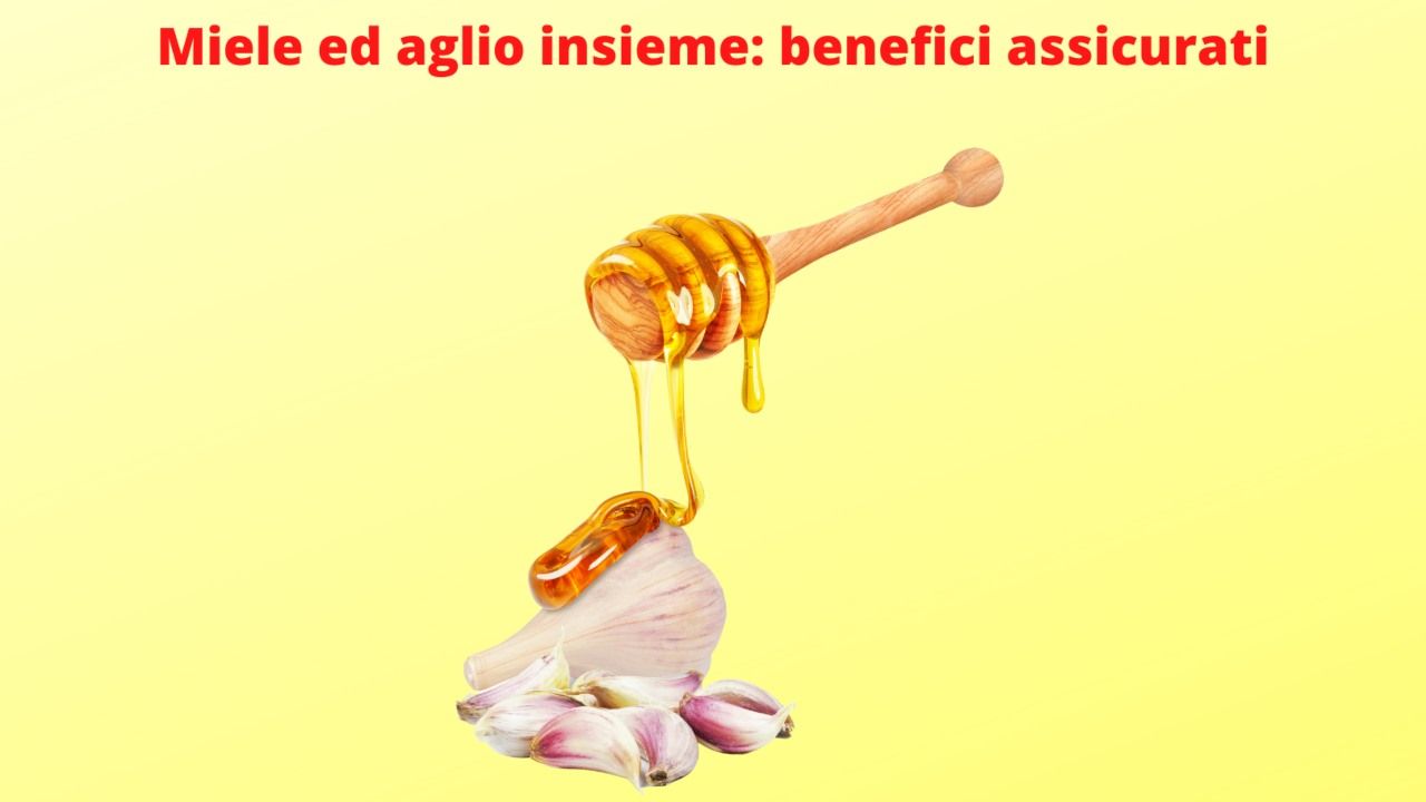 miele aglio benefici