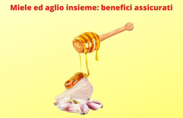 miele aglio benefici