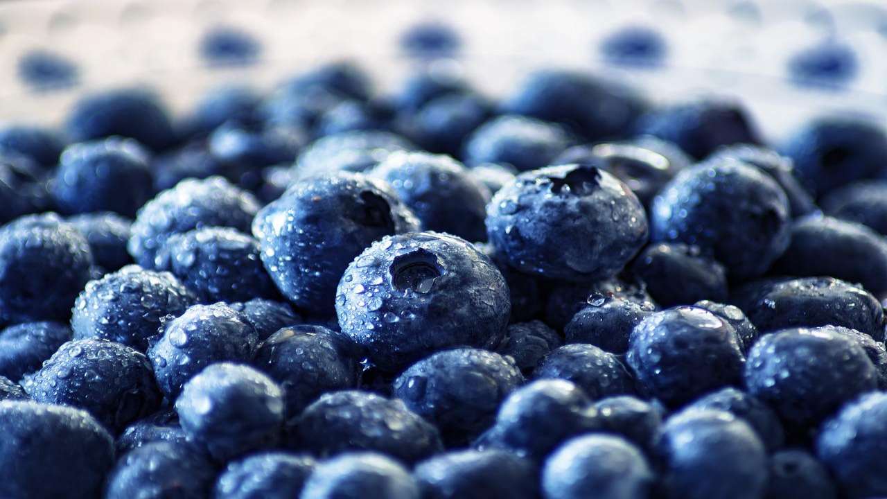 Dieta frutti anticancerogeni