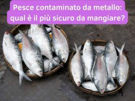 pesce metallo