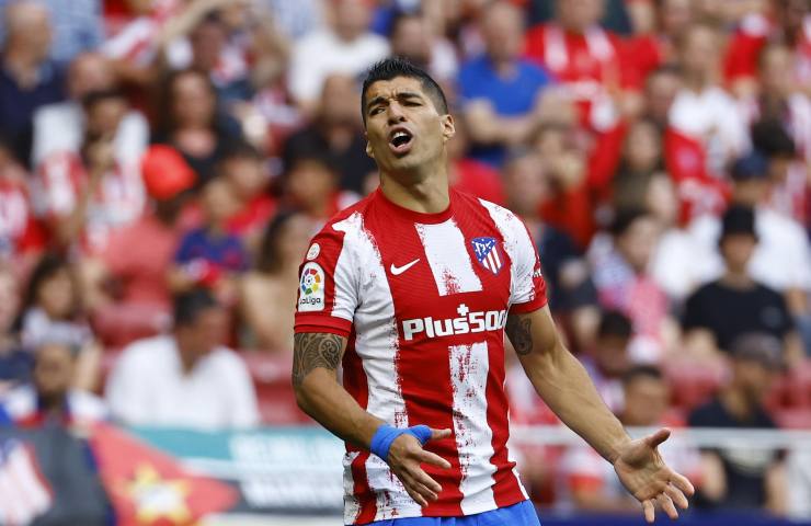 Luis Suarez Atalanta