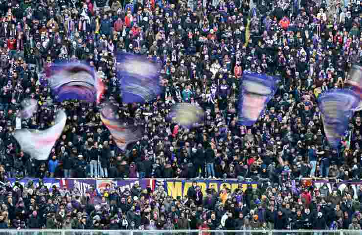 Tifosi