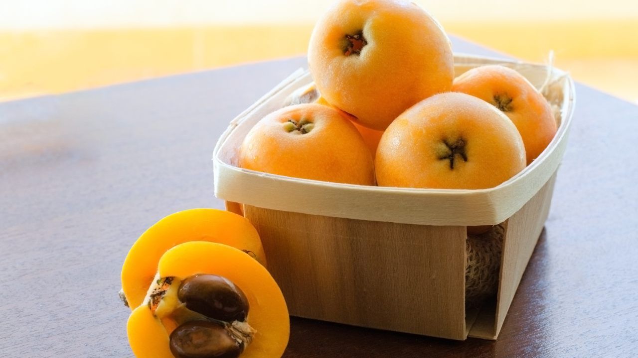 nespole benefici proprietà