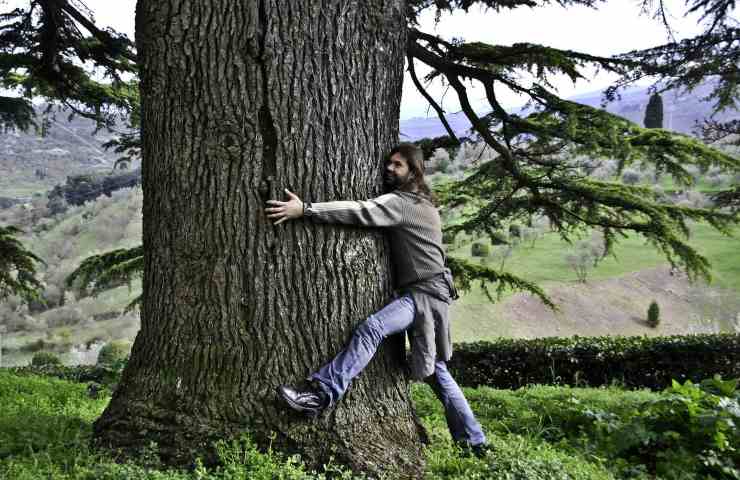 silvoterapia abbracciare alberi