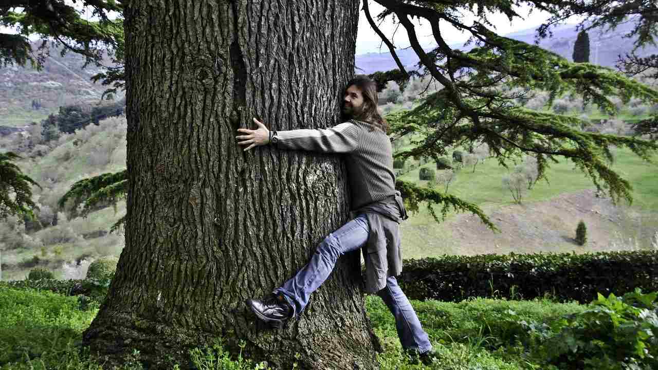 silvoterapia abbracciare alberi
