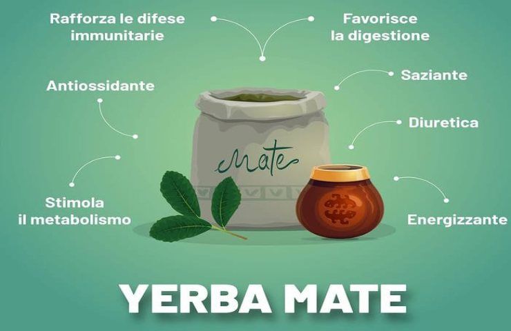 Yerba mate