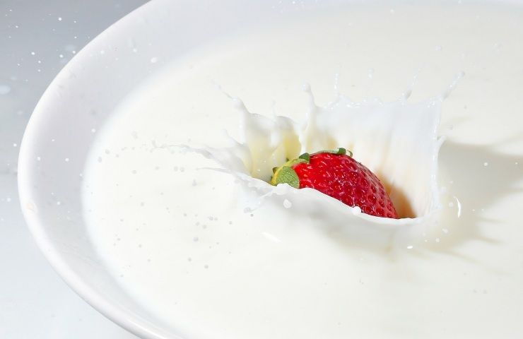 benefici yogurt bianco