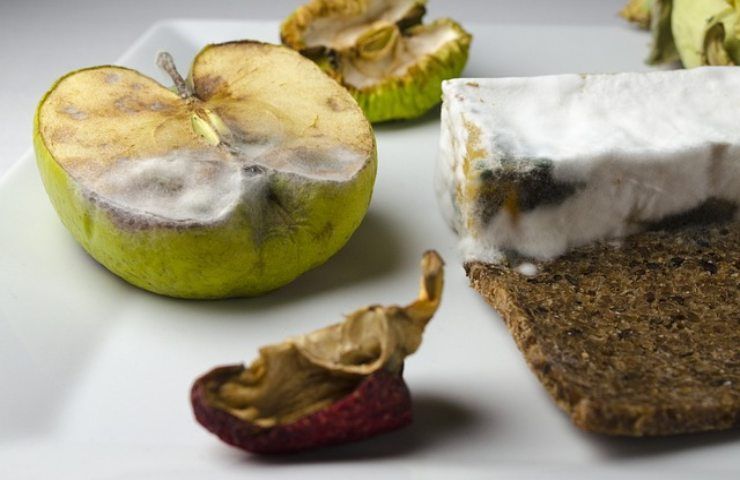 alimenti scaduti
