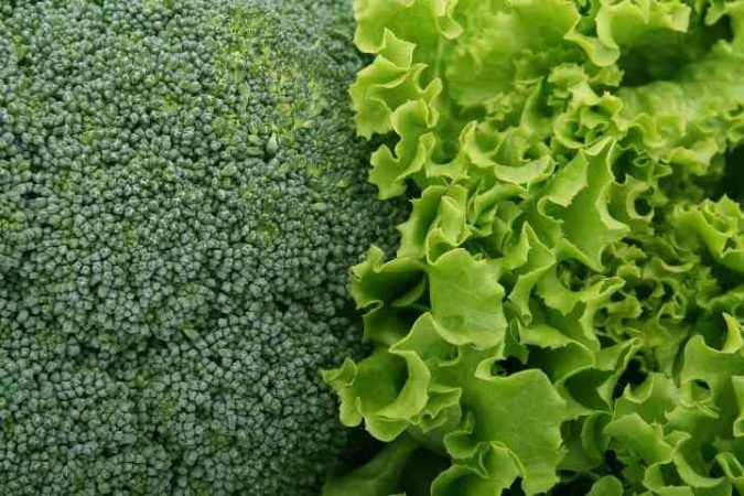 Biodisponibilità alimentare a tavola broccoli proprietà