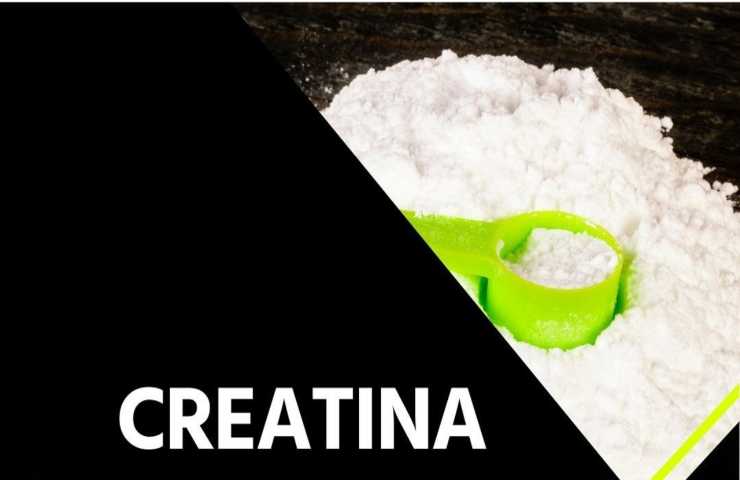 Creatina