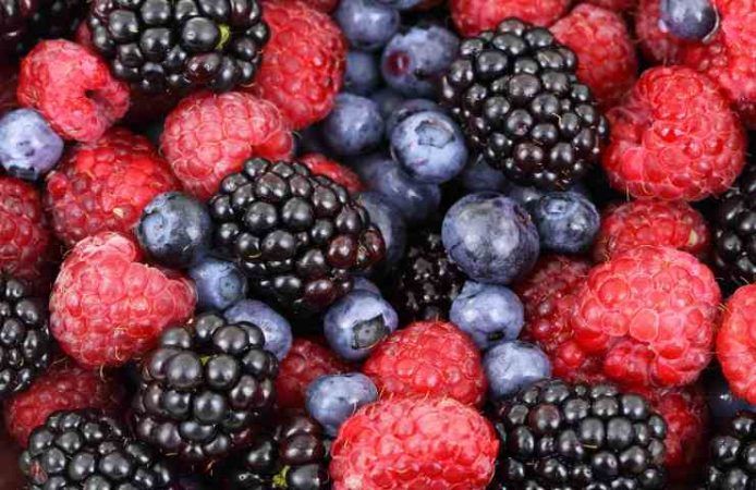 Biodisponibilità alimentare a tavola proprietà frutti nutrienti