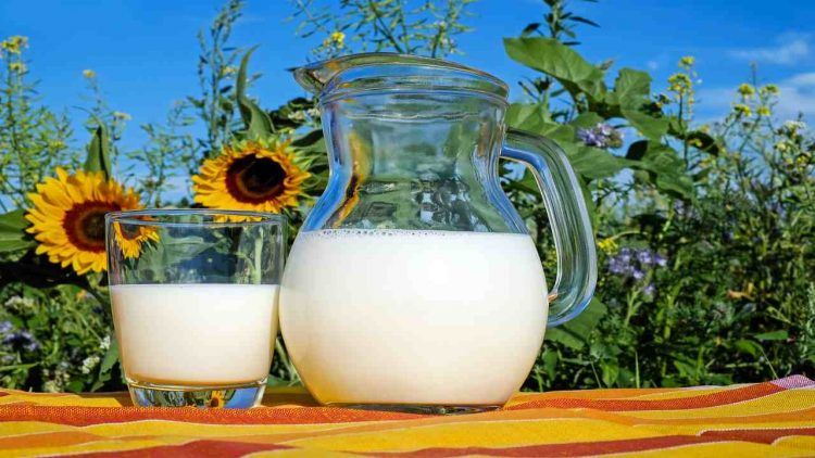 Il latte fa ingrassare? Tutta la verità tra realtà e falsi miti